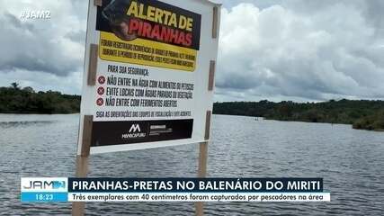 Piranhas-pretas de 40 centímetros são pescadas em balneário do Miriti