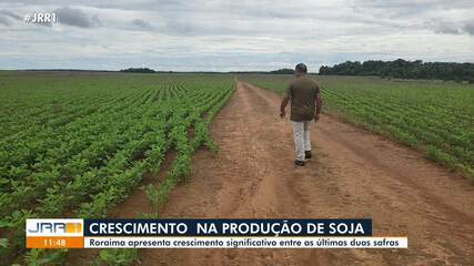 Roraima registra crescimento significativo entre as duas últimas safras de soja