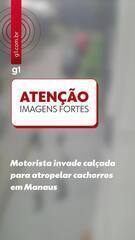 Motorista invade calçada para atropelar cachorros em Manaus