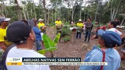 Abelhas nativas sem ferrão: ribeirinhos e indígenas aprendem a melhorar criação no AM