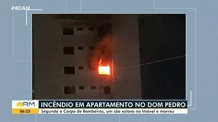 Incêndio em apartamento em Manaus: cão que estava no imóvel morreu