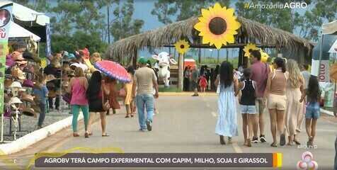 AgroBV 2026 prepara campo experimental de 22 hectares na zona rural de Boa Vista