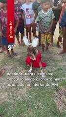 Vestidos, tiaras e óculos: concurso elege cachorro mais arrumado no interior do AM