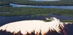 Como chegar a Anavilhanas, arquipélago na Amazônia que muda de paisagem a cada seis meses — Foto: Foto: Diego Peres