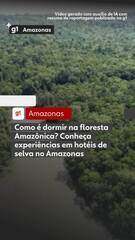 Como é dormir na floresta Amazônica? Conheça experiências em hotéis de selva no Amazonas