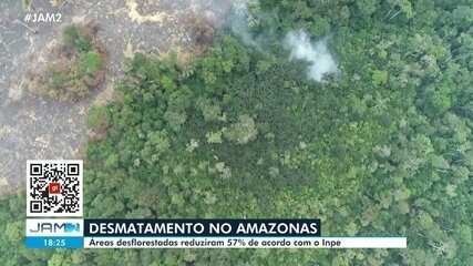 Desmatamento diminui 57% no Amazonas, aponta Inpe