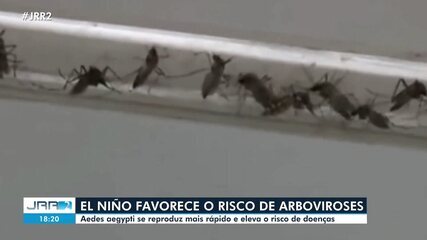 Roraima entra em alerta para dengue com possível chegada de El Niño em 2027