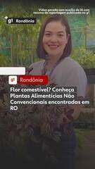 Flor comestível? Conheça Plantas Alimentícias Não Convencionais encontradas em RO