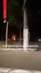 Incêndio atinge área de vegetação na Zona Centro-Oeste de Manaus