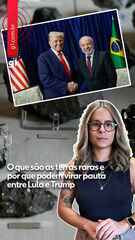 O que são as terras raras e por que podem virar pauta entre Lula e Trump