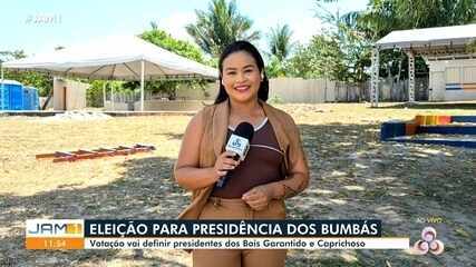 Eleição: votação vai definir presidentes dos Bois Caprichoso e Garantido