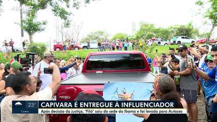 Capivara Filó é devolvida a influencer do AM após decisão judicial