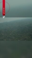 Aeronaves enviadas pelo Governo Federal iniciam combate a incêndios florestais no Amazonas